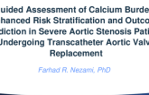 TCT 390: AI-guided Assessment of Calcium Burden for Enhanced Risk Stratification and Outcome Prediction in Severe Aortic Stenosis Patients Undergoing Transcatheter Aortic Valve Replacement