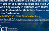 A Randomized Comparison Between Selution SLR™ Sirolimus-Eluting Balloon and Plain Old Balloon Angioplasty in Patients With Distal Internal Pudendal-Penile Artery Disease and Erectile Dysfunction: The PERFECT-SELUTION First-in-Man Study