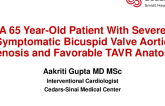 Case Presentation 1: A 65 Year-Old Patient With Severe Symptomatic Bicuspid Valve Aortic Stenosis and Favorable TAVR Anatomy