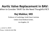Aortic Valve Replacement in BAV: Biprosthesis for Everyone? When to Consider TAVR? Do We Need Thoughtful RCTs?