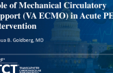 Role of Mechanical Circulatory Support in Acute PE Intervention