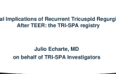 Clinical Implications of Recurrent Tricuspid Regurgitation After Transcatheter Edge-to-Edge Repair: The TRI-SPA Registry