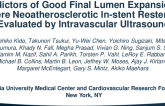 TCT 499: Predictors of Good Final Lumen Expansion After Treatment of Severe In-Stent Restenosis Neoatherosclerosis as Evaluated by Intravascular Ultrasound
