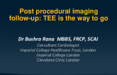 Follow-up Postprocedural Imaging: TEE Is the Way to Go
