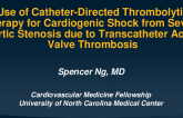 Use of Catheter-Directed Thrombolytic Therapy for Cardiogenic Shock from Severe Aortic Stenosis due to Transcatheter Aortic Valve Thrombosis