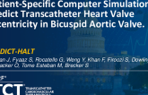 TCT 214: Patient-Specific Computer Simulation to Predict Transcatheter Heart Valve Eccentricity in Bicuspid Aortic Valve 