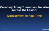 Dissection of a Coronary (Guide or Wire) No Wire Across Lesion: A Six-Step Checklist?