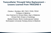 Transcatheter Tricuspid Valve Replacement - Lessons Learned From TRISCEND II