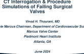CT Interrogation & Procedure Simulations of Failing Surgical Valves