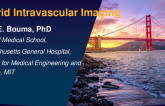 Hybrid Intravascular Imaging