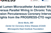 Dual Lumen Microcatheter Assisted Wiring Versus Parallel Wiring in Chronic Total Occlusion Percutaneous Coronary Intervention: Insights From the PROGRESS-CTO Registry