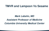 TMVR and Lampoon vs Sesame (Risk Assessment for LVOTO)