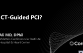 CT-guided PCI: Optimizing procedural assessment and planning