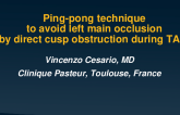 Ping-Pong Technique to Avoid Left Main Occlusion During TAVI