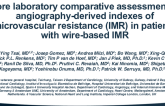 TCT 675: Core laboratory comparative assessment of angiography-derived index of microvascular resistance (IMR) in patients with wire-based IMR