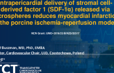 TCT 589: Intrapericardial Delivery of Stromal Cell-Derived Factor 1 (SDF-1a) Released via Microspheres Reduces Myocardial Infarction in the Porcine Ischemia Reperfusion Model