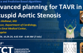 Advanced planning for TAVR in Bicuspid Aortic Stenosis