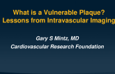What Is a Vulnerable Plaque? Lessons From Intravascular Imaging