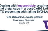 Dealing With Impenetrable Proximal and Distal Caps in a Post-CABG LAD CTO Presenting With Failing SVG-LAD