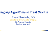 Imaging Algorithms to Treat Calcium