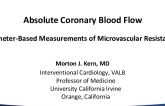 Absolute Coronary Flow Measurements