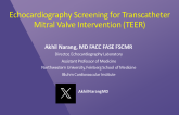 Screening for Transcatheter Native Mitral Valve Intervention: Echocardiography