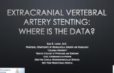 Extracranial Vertebral Artery Stenting. Where is the Data?