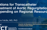 Options for Transcatheter Treatment of Aortic Regurgitation Depending on Regional Resources