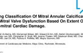 Staging Classification of Mitral Annular Calcification With Mitral Valve Dysfunction Based on Extent of Extra-Mitral Cardiac Damage.