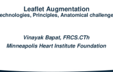 SPOTLIGHT INNOVATION LECTURE: Transcatheter Posterior Leaflet Augmentation: Technology Principles, Anatomical Targets and Challenges