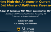Defining High Risk Coronary Anatomy in the Current Era: Left Main and MVD