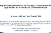 Exploring the Immediate Effects of Tricuspid Transcatheter Edge-to-Edge Repair on Biventricular Cardiomechanics