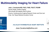 Multimodality Imaging (MMI) in HF: Overview