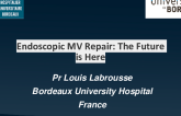 Endoscopic MV Repair: The Future is Here
