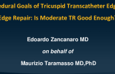 Procedural Goals of Tricuspid Transcatheter Edge-to-Edge Repair:  Is Moderate TR Good Enough?
