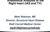 Anatomical Analysis of the Right Heart (IAS and TV).
