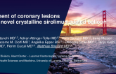 TCT 660: Treatment of Coronary Lesions With a Novel Crystalline Sirolimus-Coated Balloon 