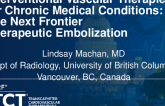 Interventional Vascular Therapies for Chronic Medical Conditions: The Next Frontier