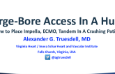 Large Bore Access in a Hurry: How to Place Impella, ECMO, or Tandem Safely in Crashing Patient