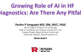 Growing Role of AI in HF Diagnostics: Are There Any Pitfalls?