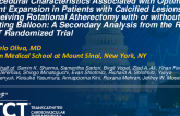 TCT 390: Characteristics Associated With Optimal Stent Expansion in Patients With Calcified Lesions Receiving Rotational Atherectomy With or Without Cutting Balloon: A Secondary Analysis From the ROTA-CUT Randomized Trial