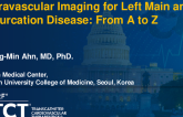 Intravascular Imaging for Left Main and Bifurcation Disease: From A to Z