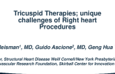 Navigating Transcatheter Tricuspid Valve Replacement in Situ and Heterotopic with Discussion