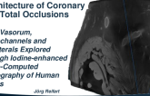 The Microvascular Architecture of Coronary Total Occlusions: Vasa Vasorum, Microchannels and Collaterals Explored Through Iodine-enhanced Micro-Computed Tomography of Human Hearts