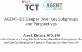 AGENT-IDE Deeper Dive: Key Subgroups and Perspectives