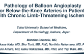 TCT 548: Pathology of Balloon Angioplasty for Below-the-Knee Arteries in Patients With Chronic Limb-Threatening Ischemia 