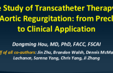 Case Series Study of Transcatheter Therapy for Pure Aortic Regurgitation: from Preclinical to Clinical Application