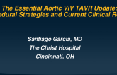 The Essential Aortic ViV TAVR Update: Procedural Strategies and Current Clinical Results