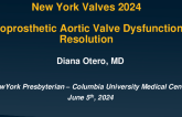 Case 1: Bioprosthetic Aortic Valve Dysfunction Resolution