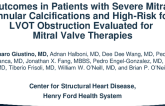 Outcomes in Patients With Severe Mitral Annular Calcifications and High-Risk for Left Ventricular Outflow Tract Obstruction Referred for Mitral Valve Therapies